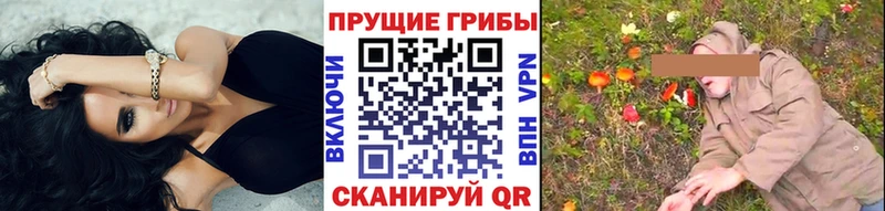 Галлюциногенные грибы GOLDEN TEACHER  нарко площадка какой сайт  Сатка 