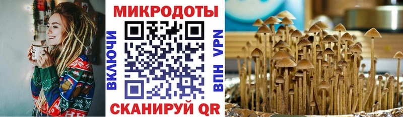 Псилоцибиновые грибы мицелий Сатка